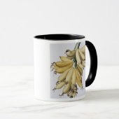 Banaan, 1816 mok (Voorkant rechts)