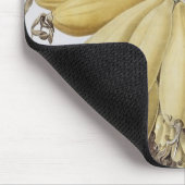 Banaan, 1816 muismat (Hoek)