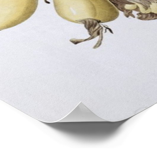 Banaan, 1816 poster (Hoek)