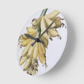 Banaan, 1816 ronde klok (Hoek)