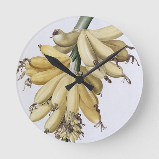 Banaan, 1816 ronde klok (Voorkant)