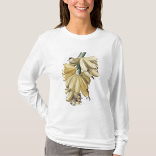 Banaan, 1816 t-shirt