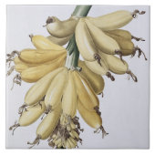 Banaan, 1816 tegeltje (Voorkant)