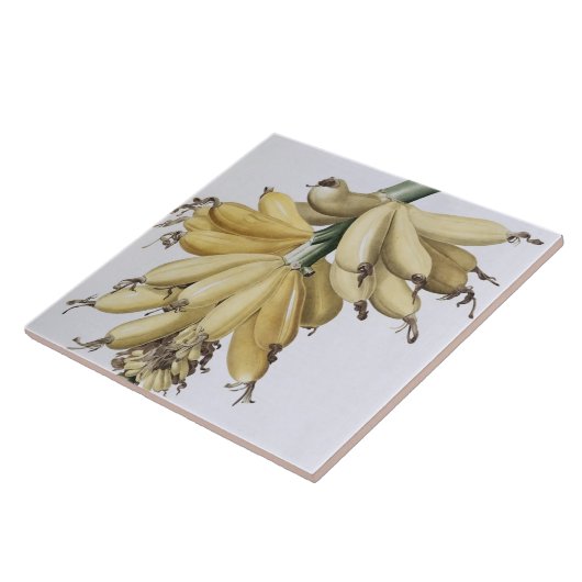 Banaan, 1816 tegeltje (Zijkant)