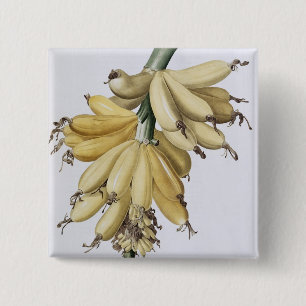 Banaan, 1816 vierkante button 5,1 cm