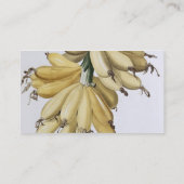 Banaan, 1816 visitekaartje (Achterkant)