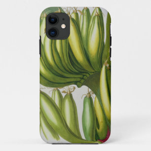 Banaan, gegraveerd door Johann Jakob Haid (1704-67 iPhone 11 Hoesje