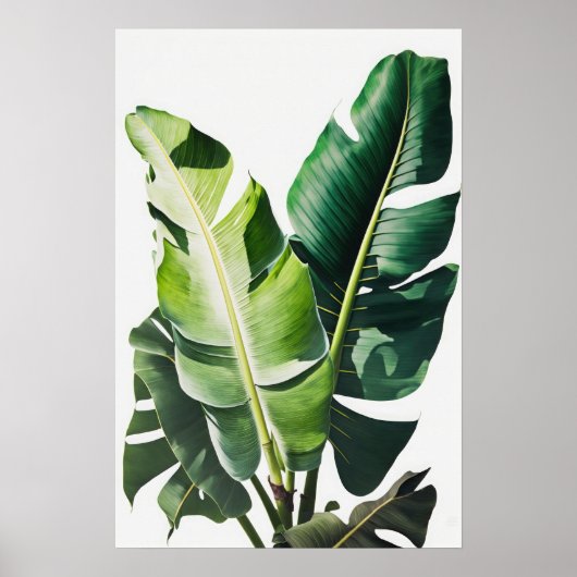 Banaan Leaves Art Print Poster (Voorkant)