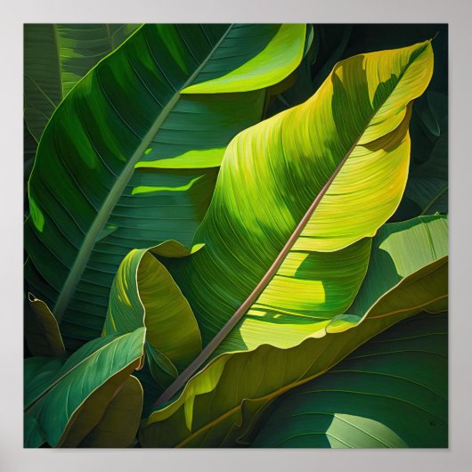 Banaan Leaves Art Print Poster (Voorkant)