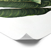 Banaan Leaves Art Print Poster (Hoek)