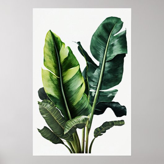 Banaan Leaves Art Print Poster (Voorkant)