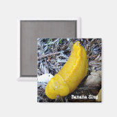 Banaan Slug Magnet (Voorkant / Achterkant)