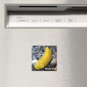 Banaan Slug Magnet (Insitu (Vaatwasser))