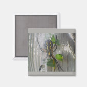 Banaan Spinmagnet Magneet (Voorkant / Achterkant)