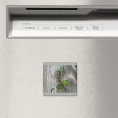 Banaan Spinnenmagneet Magneet (Insitu (Vaatwasser))