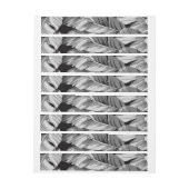 Banaanbladeren 3 (Vel)