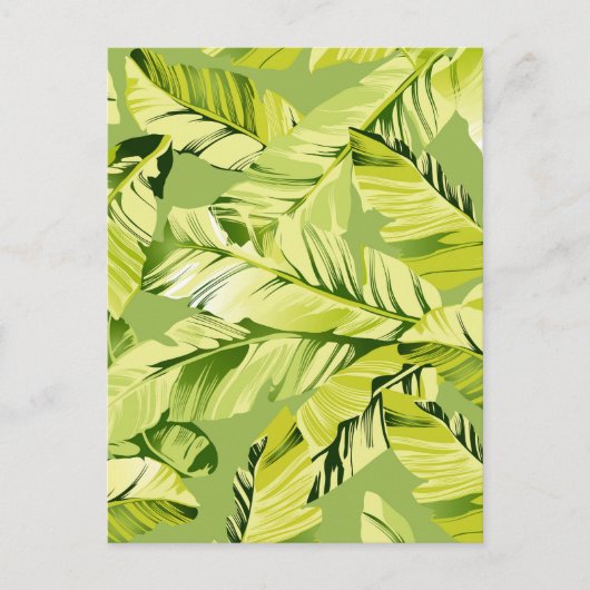 Banaanbladeren 5 briefkaart (Voorkant)