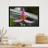 Banaanblazer Poster (Keuken)