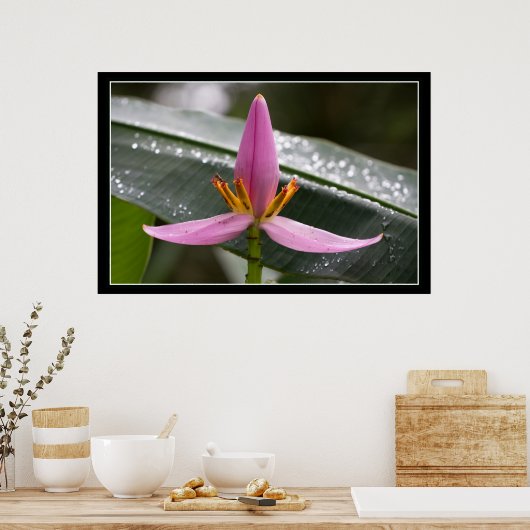 Banaanblazer Poster (Keuken)