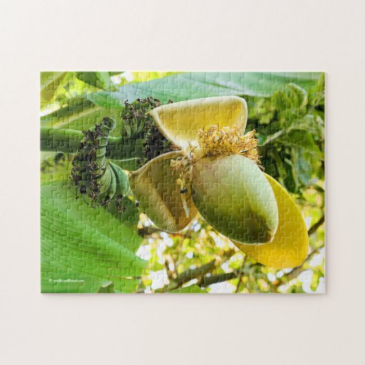 Banaanbomen met bananenvruchten legpuzzel (Horizontaal)