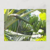 Banaanboom Briefkaart (Voorkant)