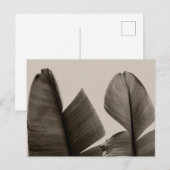 Banaanboombladeren in Sepia Briefkaart (Voorkant / Achterkant)
