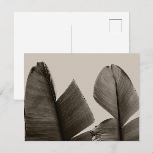 Banaanboombladeren in Sepia Briefkaart (Voorkant / Achterkant)