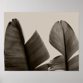 Banaanboombladeren in Sepia Poster