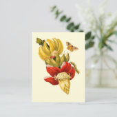 Banaanboombloemen  botanische afdruk briefkaart (Staand voorkant)