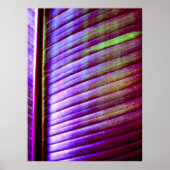 (Banaanleder) Poster afdrukken (Voorkant)