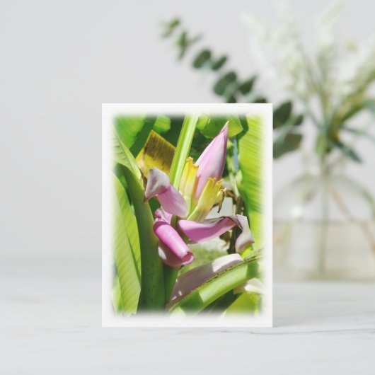 Banaanplant Briefkaart (Staand voorkant)