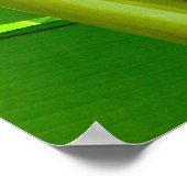 BanaanPlant Poster (Hoek)