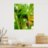 BanaanPlant Poster (Keuken)