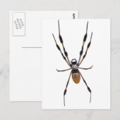 Banaanspin Briefkaart (Voorkant / Achterkant)