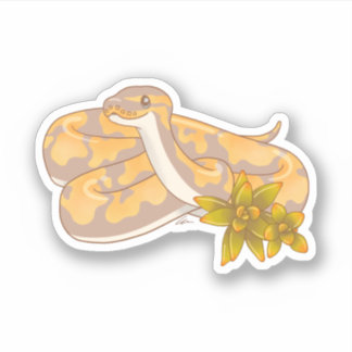 Banana Ball Python en Succulents Sticker