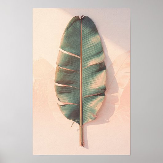 Banana Blad Botanische Poster (Voorkant)