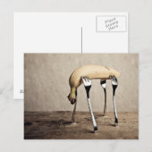 Banana Briefkaart (Voorkant / Achterkant)