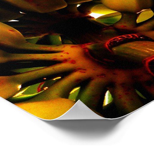 Banana Bunch Poster (Hoek)