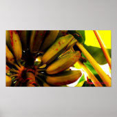 Banana Bunch Poster (Voorkant)