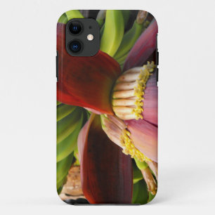 Banana Flower iPhone 11 Hoesje