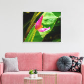 Banana Flower, Limahuli Gardens, Kauai, Hawaii Canvas Afdruk (Insitu (Woonkamer))