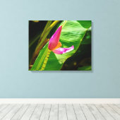 Banana Flower, Limahuli Gardens, Kauai, Hawaii Canvas Afdruk (Insitu (Houten vloer))