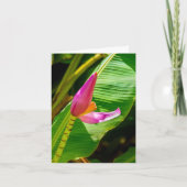 Banana Flower, Limahuli Gardens, Kauai Notitiekaartje (Voorkant)