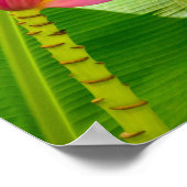 Banana Flower, Limahuli Gardens, Kauai Vertical Poster (Hoek)