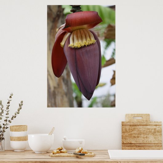 Banana Flower Poster (Keuken)
