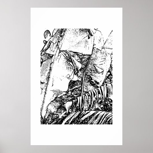 Banana Fronds Poster (Voorkant)
