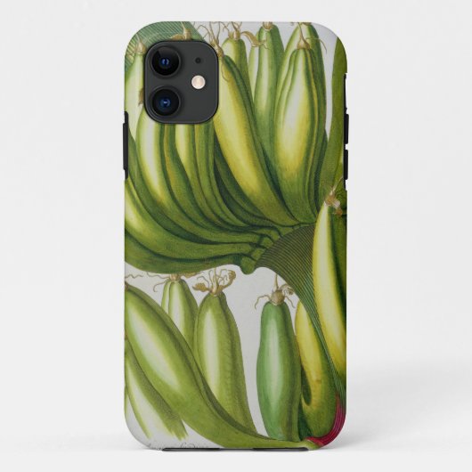 Banana, gegraveerd door Johann Jakob Haid (1704-67 Case-Mate iPhone Case (Achterkant)
