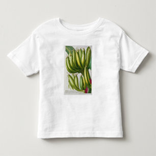 Banana, gegraveerd door Johann Jakob Haid (1704-67 Kinder Shirts