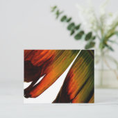 Banana Leaf Briefkaart (Staand voorkant)