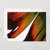 Banana Leaf Briefkaart (Voorkant / Achterkant)